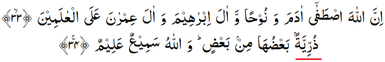Surah Al Imran, verses 33-34, Evolution theory vs. Adam and Eve theory