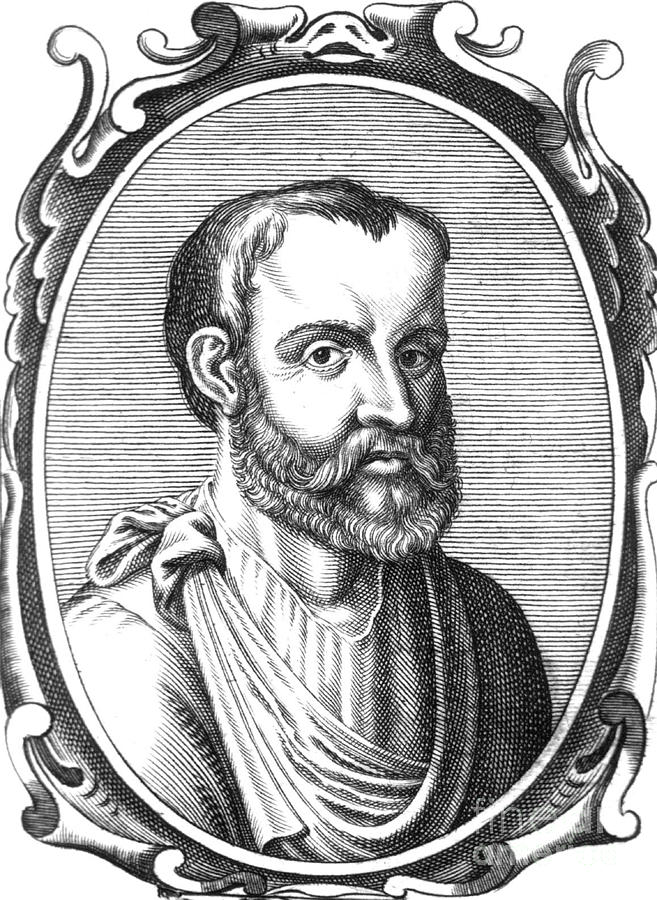 গ্যালেন embryology diagram